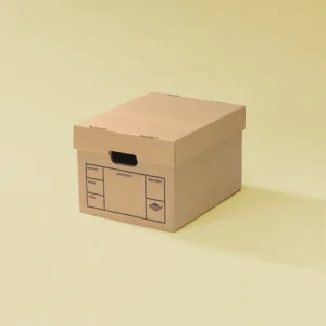 Utility/Moving Box